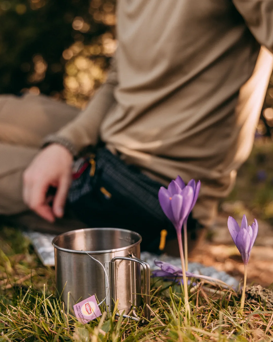 Taza metálica junto a flores moradas