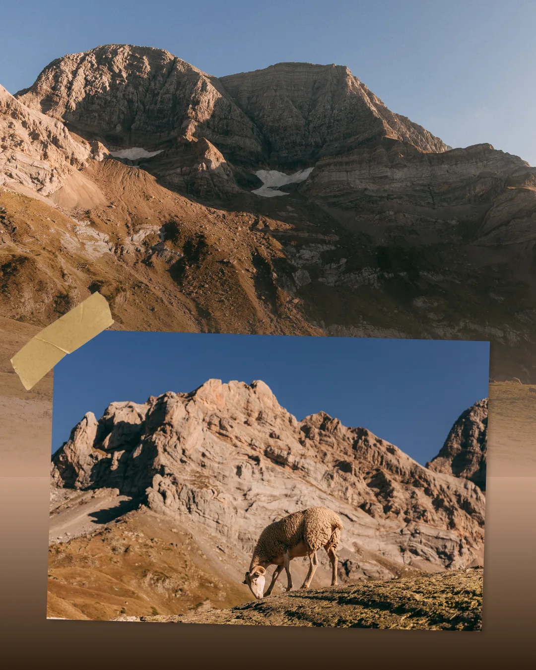 Collage de crestas rocosas y fauna de montaña